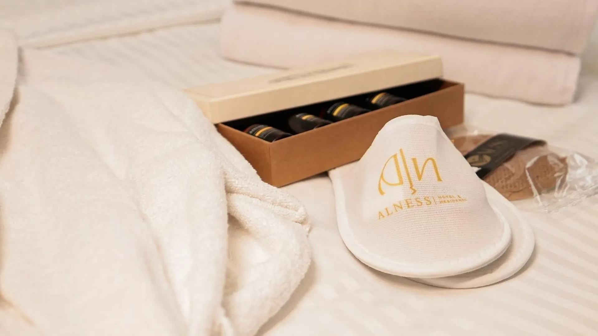 Alness Residence Nisantasi Istambul Hotel